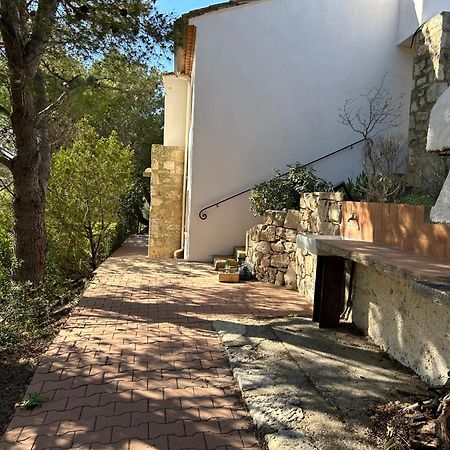 Grand T2 Bis Avec Terrasse Et Vue Leilighet Portel-des-Corbieres Eksteriør bilde